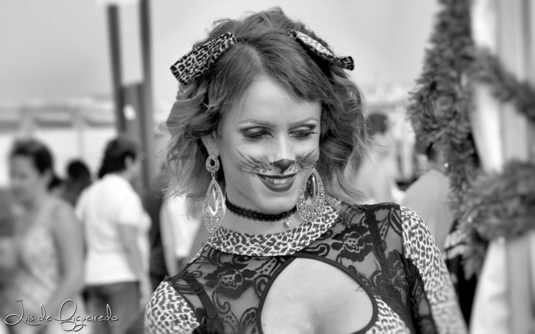 asdasasDSC_0221